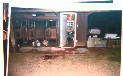 murdaugh murder crime scene pictures|Inside gruesome Murdaugh family murder scene pics。